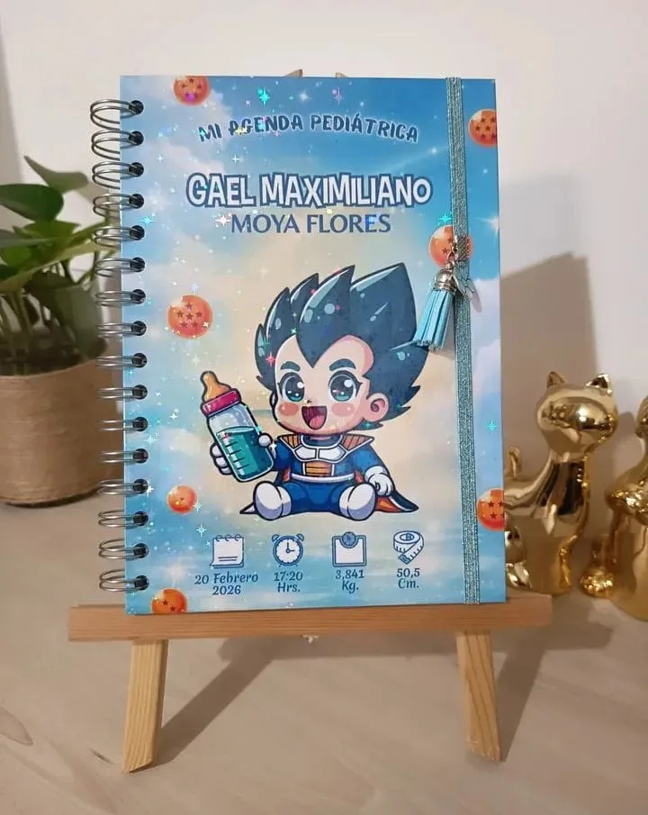 Agenda pediátrica personalizada hecha a mano por Crafterlu